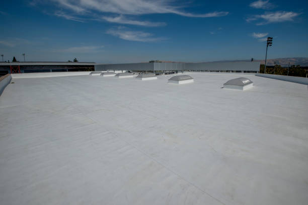 Best Steel Roofing  in Lockland, OH